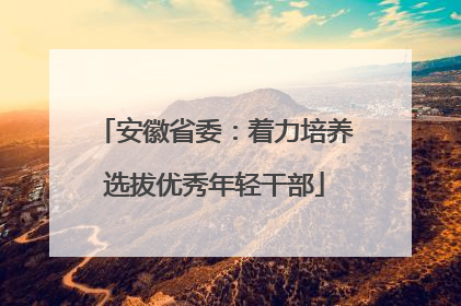 安徽省委：着力培养选拔优秀年轻干部