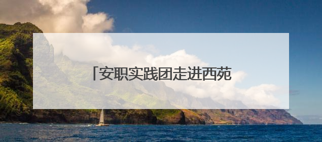 安职实践团走进西苑社区：解码六尺巷工作法的温情治理之道