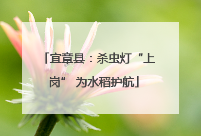 宜章县：杀虫灯“上岗” 为水稻护航