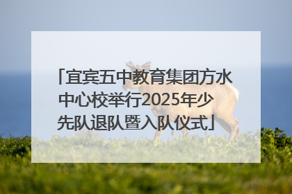 宜宾五中教育集团方水中心校举行2025年少先队退队暨入队仪式