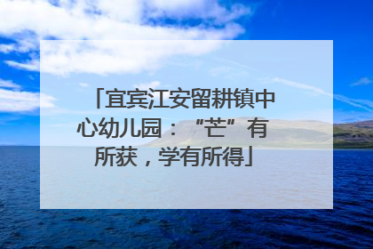 宜宾江安留耕镇中心幼儿园：“芒”有所获，学有所得
