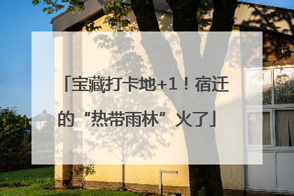 宝藏打卡地+1！宿迁的“热带雨林”火了
