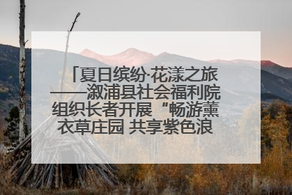 夏日缤纷·花漾之旅——溆浦县社会福利院组织长者开展“畅游薰衣草庄园 共享紫色浪漫”户外活动