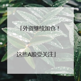 外资继续加仓！这些A股受关注
