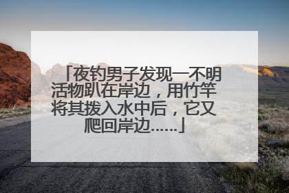 夜钓男子发现一不明活物趴在岸边，用竹竿将其拨入水中后，它又爬回岸边……