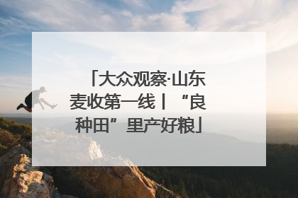 大众观察·山东麦收第一线丨“良种田”里产好粮