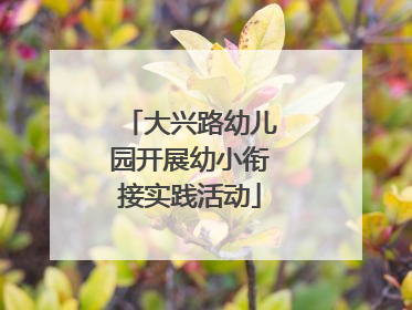 大兴路幼儿园开展幼小衔接实践活动