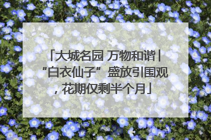 大城名园 万物和谐│“白衣仙子”盛放引围观，花期仅剩半个月