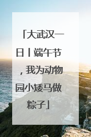 大武汉一日丨端午节，我为动物园小矮马做粽子
