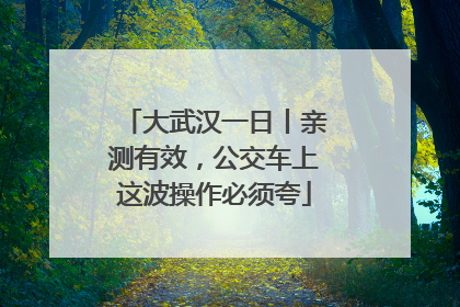 大武汉一日丨亲测有效，公交车上这波操作必须夸