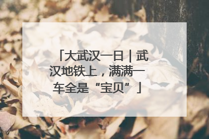 大武汉一日｜武汉地铁上，满满一车全是“宝贝”