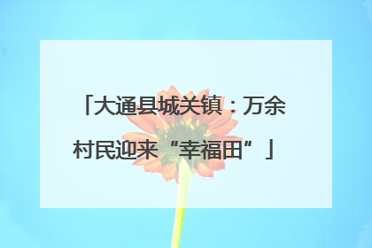 大通县城关镇：万余村民迎来“幸福田”
