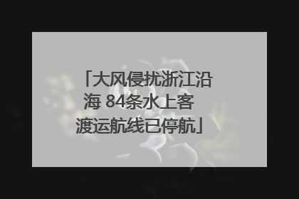 大风侵扰浙江沿海 84条水上客渡运航线已停航