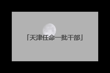天津任命一批干部