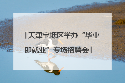 天津宝坻区举办“毕业即就业”专场招聘会