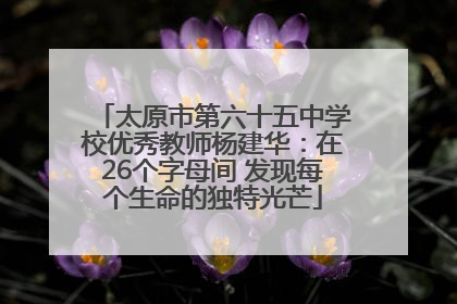 太原市第六十五中学校优秀教师杨建华：在26个字母间 发现每个生命的独特光芒