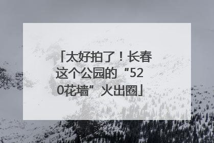 太好拍了！长春这个公园的“520花墙”火出圈