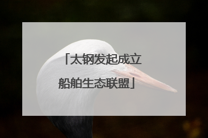 太钢发起成立船舶生态联盟