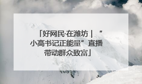 好网民·在潍坊｜“小高书记正能量”直播 带动群众致富