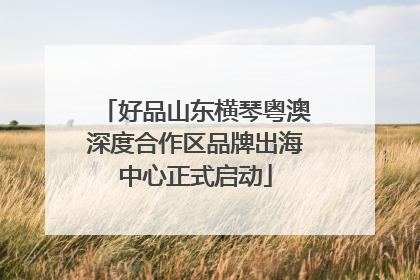 好品山东横琴粤澳深度合作区品牌出海中心正式启动