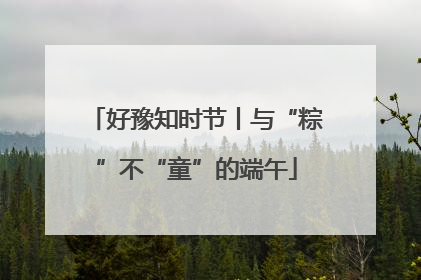 好豫知时节丨与“粽”不“童”的端午