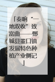 奏响“一地双收”致富曲——鄄城县董口镇发展特色种植产业侧记