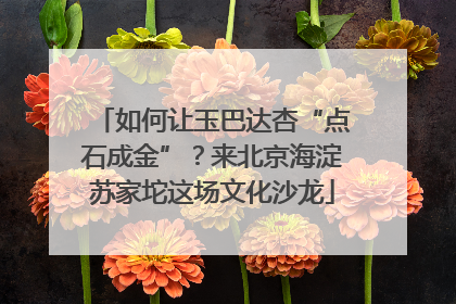 如何让玉巴达杏“点石成金”？来北京海淀苏家坨这场文化沙龙