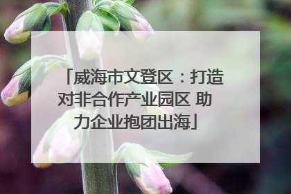 威海市文登区：打造对非合作产业园区 助力企业抱团出海