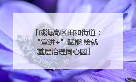 威海高区田和街道：“宣讲+”赋能 绘就基层治理同心圆