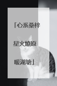 心系桑梓 星火燎原暖湖塘