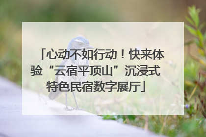 心动不如行动！快来体验“云宿平顶山”沉浸式特色民宿数字展厅