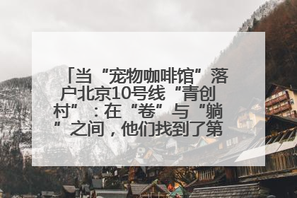 当“宠物咖啡馆”落户北京10号线“青创村”：在“卷”与“躺”之间，他们找到了第三种生活公式