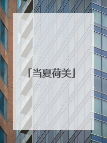 当夏荷美