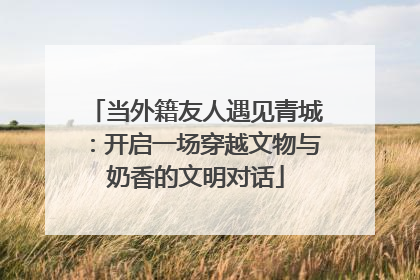 当外籍友人遇见青城：开启一场穿越文物与奶香的文明对话