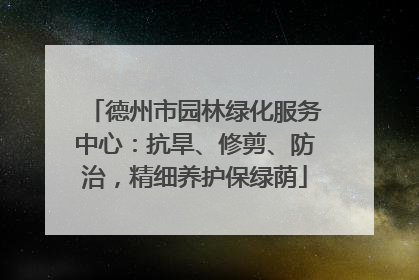 德州市园林绿化服务中心：抗旱、修剪、防治，精细养护保绿荫
