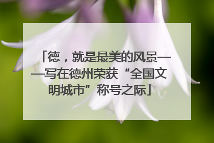 德，就是最美的风景——写在德州荣获“全国文明城市”称号之际