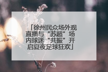 徐州民众场外观直播与“苏超”场内球迷“共振”开启夏夜足球狂欢