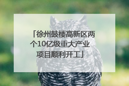 徐州鼓楼高新区两个10亿级重大产业项目顺利开工