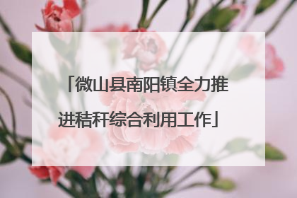 微山县南阳镇全力推进秸秆综合利用工作