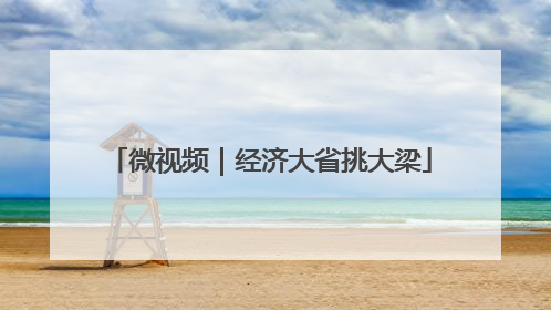 微视频｜经济大省挑大梁