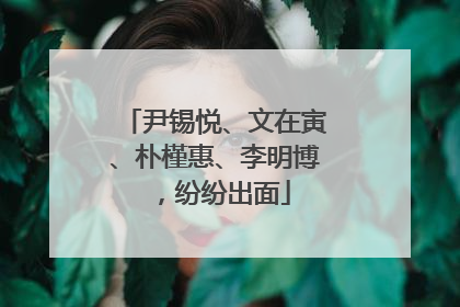 尹锡悦、文在寅、朴槿惠、李明博，纷纷出面