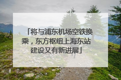 将与浦东机场空铁换乘，东方枢纽上海东站建设又有新进展