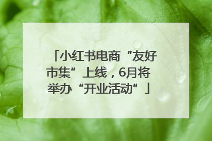 小红书电商“友好市集”上线，6月将举办“开业活动”