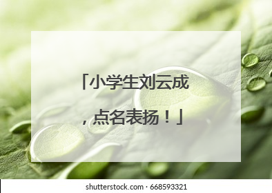 小学生刘云成，点名表扬！