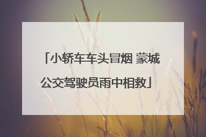 小轿车车头冒烟 蒙城公交驾驶员雨中相救