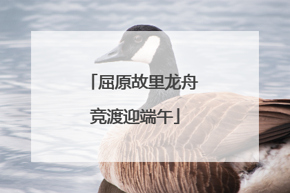 屈原故里龙舟竞渡迎端午