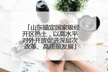 山东锚定国家级经开区热土，以高水平对外开放促进深层次改革、高质量发展