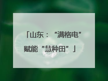 山东：“满格电”赋能“慧种田”