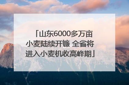 山东6000多万亩小麦陆续开镰 全省将进入小麦机收高峰期