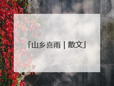山乡喜雨｜散文